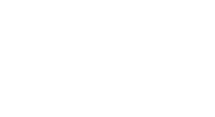 Ariston